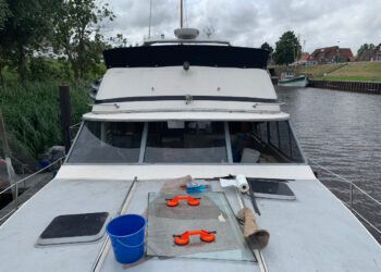 Scheibendichtung erneuern